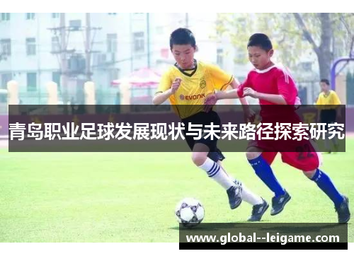 青岛职业足球发展现状与未来路径探索研究
