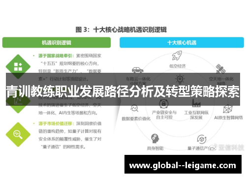青训教练职业发展路径分析及转型策略探索